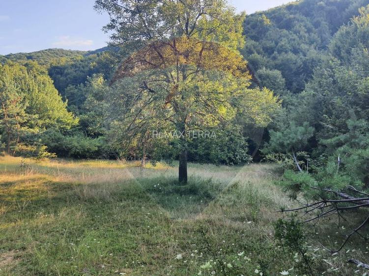 Poiană pentru cabana de vanzare intravilan Coas - 5