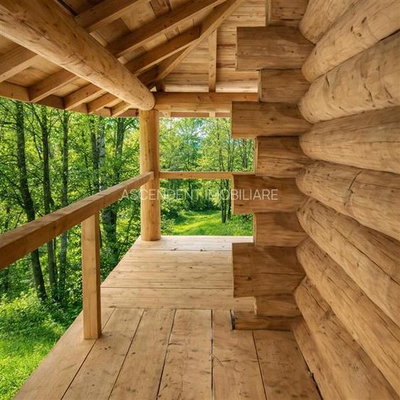 3.000mp de incantare montana cu cabana din lemn masiv, Zarnesti Tohanita - 2
