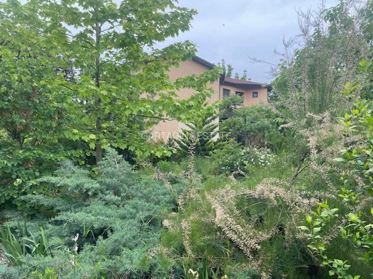 VILA INDIVIDUALA   P+1   PIPERA   DRUMUL BISERICII   1350MP TEREN - 10