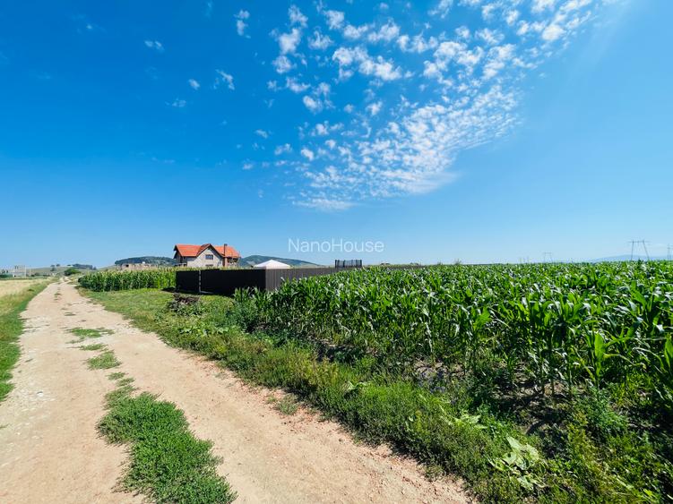 Teren  intravilan! Oportunitate de investitie! - 6