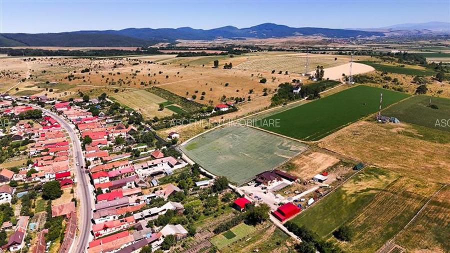 6 loturi casa Maierus,1.375mp,langa DN13, Doripesco,Brasov: 35min, zona verde:FI - 13