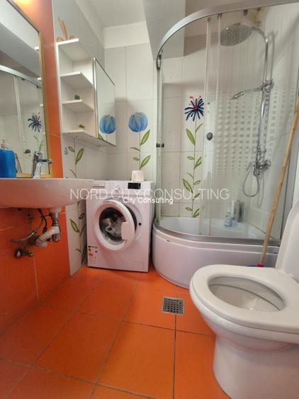 Vanzare apartament cu 3 camere Chismigiu - 8