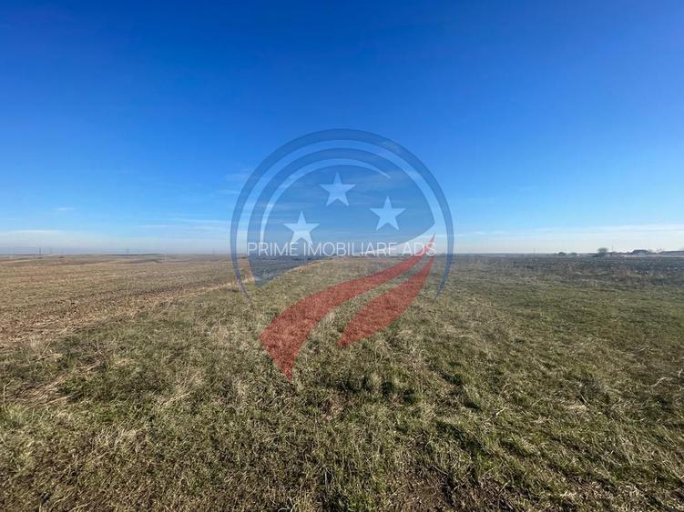 Teren zona Centura de Nord, suprafata 5000mp - 2