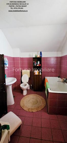 Vila P+1+5600 mp teren, proprietate de 5 km de oras - 13