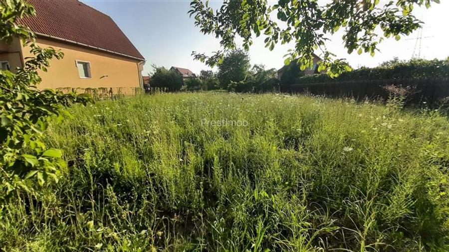 De vanzare teren 16 arii, Santana de Mures - 7