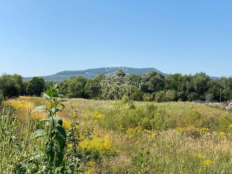 Teren 4100 mp - oportunitate investitie - Bistrita Zona Ranahum - 5