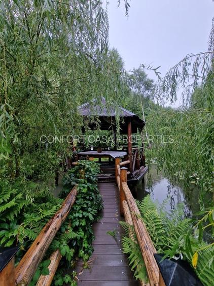 Complex Turistic - 900 mp utili -  teren 3000 mp - Piscina - zona turistica - 49