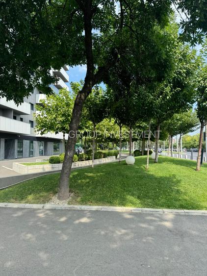 Spatiu Comercial | Stradal | 338 m2 | Trafic intens | Vitralii | - 12