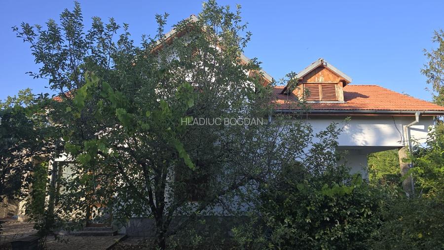 Casă individuală P+E + 2 anexe, teren 3.052 mp – Dârvări, jud. Călărași - 3