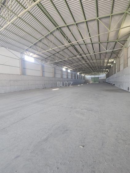 Proprietate agroindustriala, hala 1590 mp, teren 28000 mp, panouri 398 kWp - 8