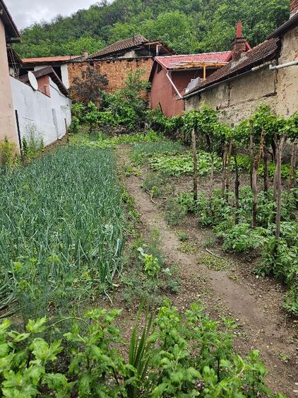 TEREN INTRAVILAN 252 MP – TOPLEȚ, CARAȘ-SEVERIN – ZONĂ LOCUITĂ, ACCES STRADAL