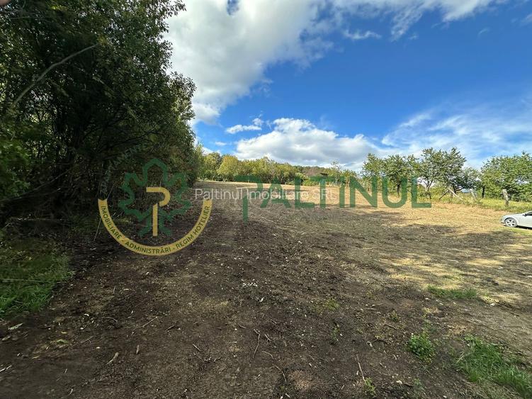 Teren intravilan de vanzare 1960 mp Cisnadioara, Sibiu - 14