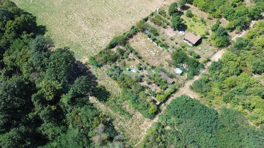 Teren intravilan de vanzare, Paleu, Bihor - 8