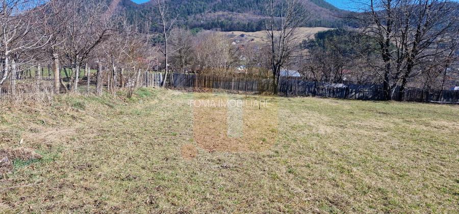 Teren intravilan de 4.000 mp în Bistrița – Alexandru cel Bun - 9