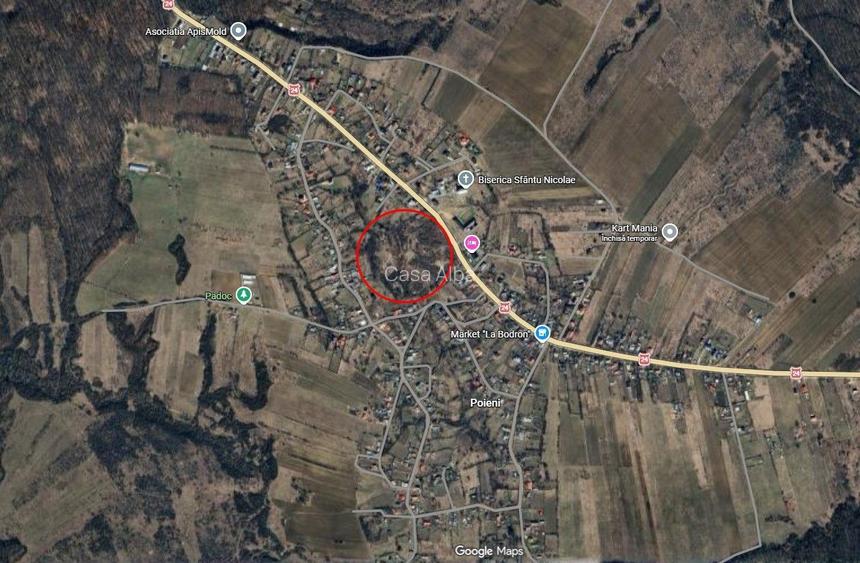 Oportunitate de investitie! Schitu Duca-Poieni, 42.898mp teren compact - 3