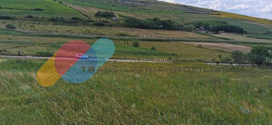 Teren intravilan 17400mp Campenesti - 6