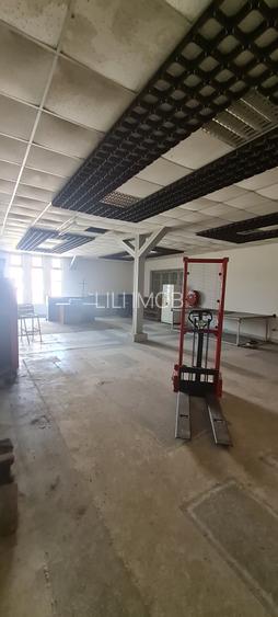 Inchiriez grup de hale cu platforma betonata - 5