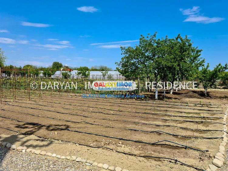 Teren in Poienari Apostoli, 21 E mp, Avantajos, DN1, 34.500 euro - 13