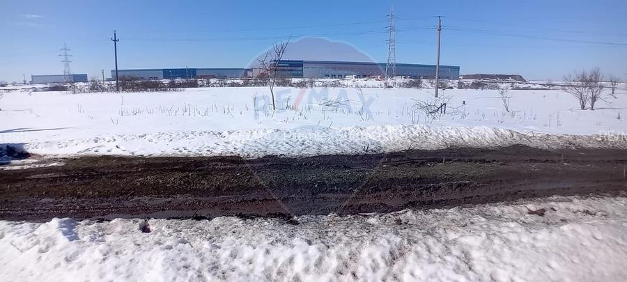 Teren 9,000mp Buftea / Strada Randunelelor - 7