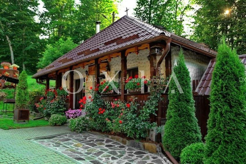 AX949 Pensiune Exclusivista In Inima Statiunii Sovata - 23