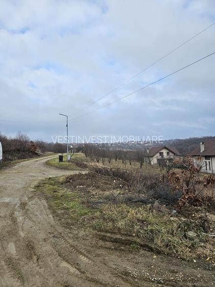 Teren construibil cu utilitati Saldabagiu de Munte 900m - 3