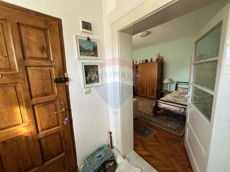 Benesat - GOSPODARIE utilata DE VANZARE - 9