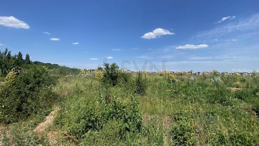 REL4000976 Teren 3415 mp zona Otopeni - Ferme - 5