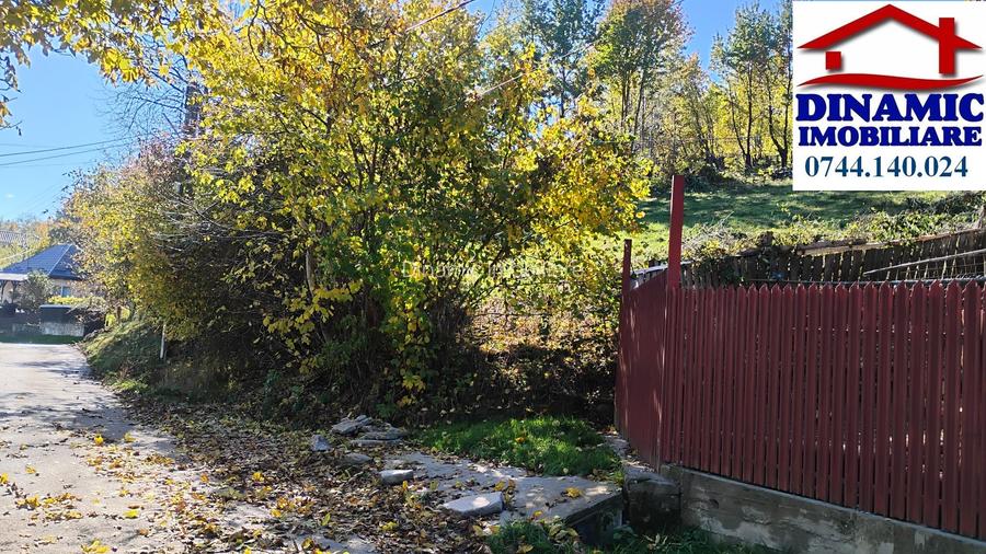 3600 mp teren intravilan, sat Bistrita, 12 Euro/mp - 6