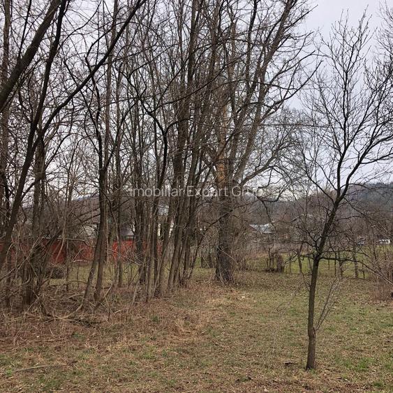 Teren intravilan Breaza oportunitate investitie - 2