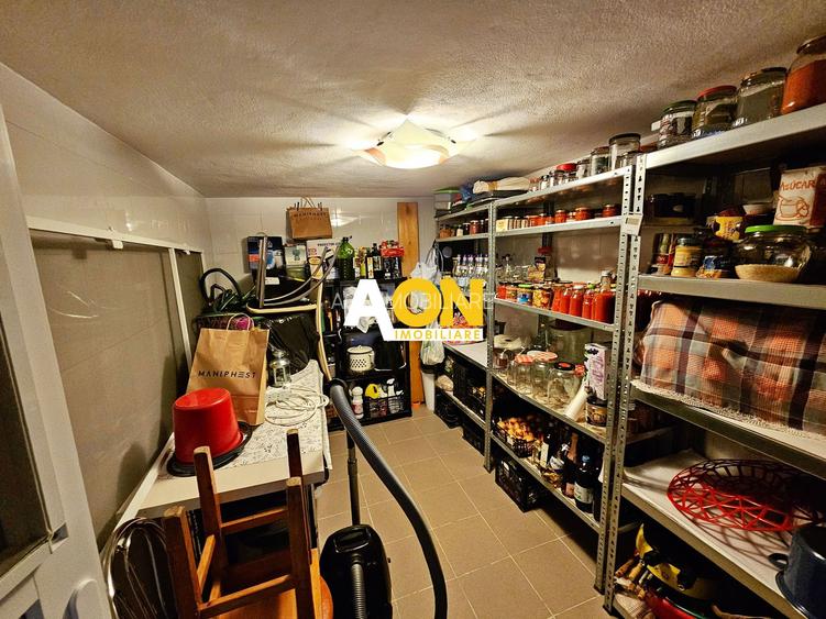 Casa tip triplex ( capat ), 4 camere, P+M, curte amenajata, Bărăbanț - 21