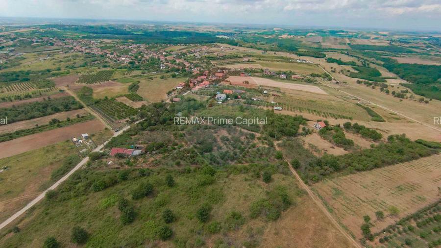 De vânzare Teren 3995mp intravilan Săldabagiu de Munte - 7