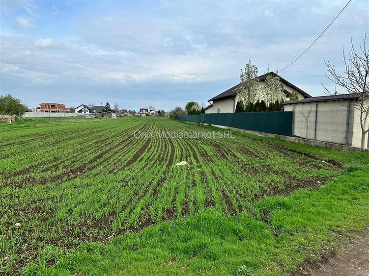 TEREN INTRAVILAN STREJNICU - 4