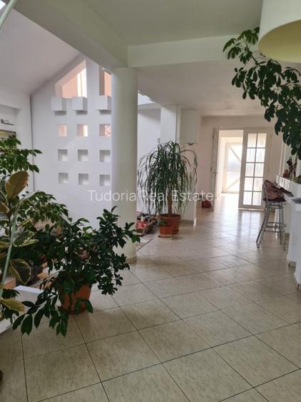 Casa individuala, 325 mp, teren 6475 mp, Vetis, Satu Mare! - 11