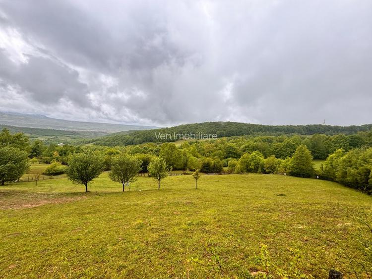 Teren extravilan cu potențial turistic – 5 ha în Josenii Bârgăului - 8
