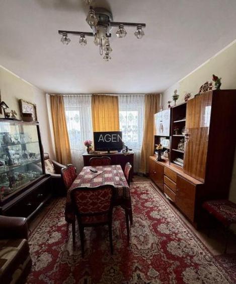 Dristor Camil Ressu-aproape de PARK Lake - 2