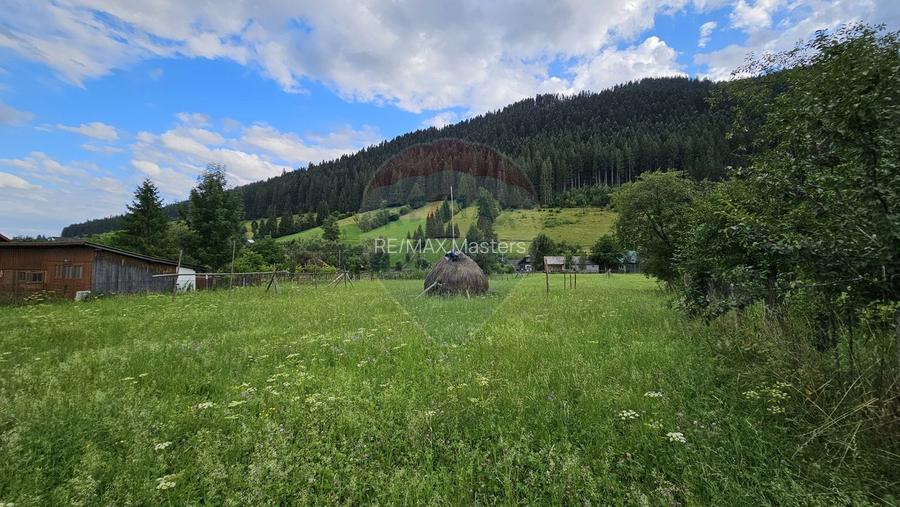 Casa 225 mp, teren intravilan 4822 mp C. Moldovenesc, Suceava - 26