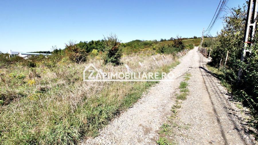 Teren intravilan 16.500mp 55euro mp deschidere de 82m la E60 - 3