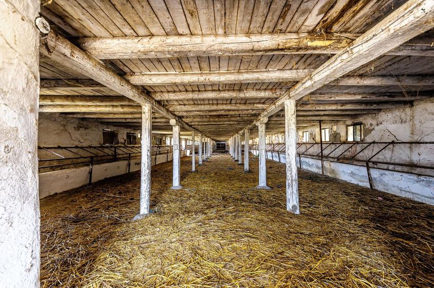 Fermă Mândruloc 2,5 ha