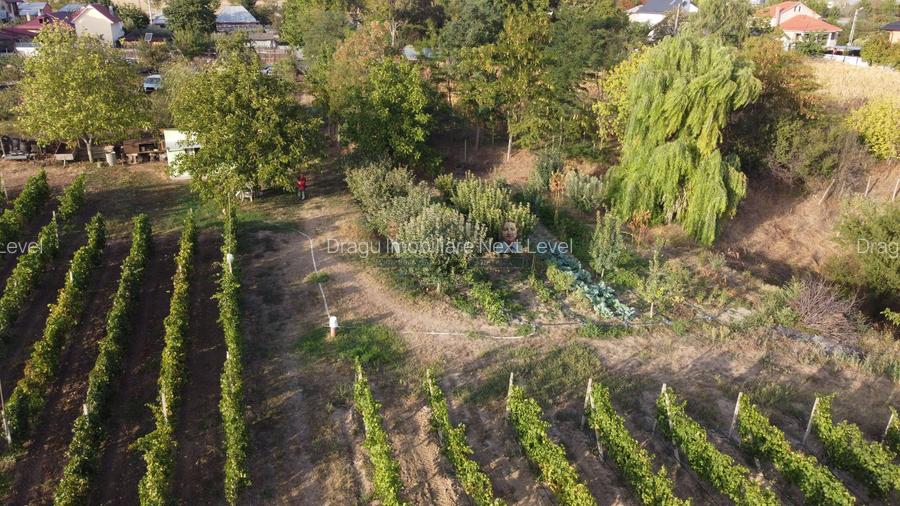 Teren intravilan Tecuci/Podgorie si Pomi Fructiferi/5000 mp - 5