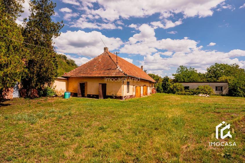 Vila Conac boieresc contelui Fabia 1920 de vânzare Păuliș Arad 2,4 ha - 6