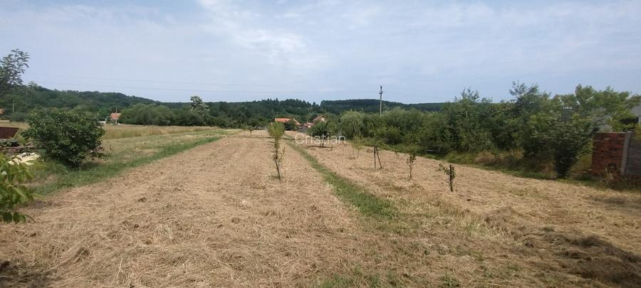 Cavanzare Copacele cu teren 1530 m și o livada - 2