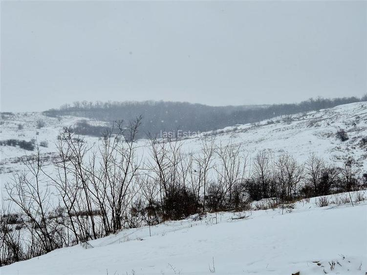 Casa individuala cu verere frumoasa - 3