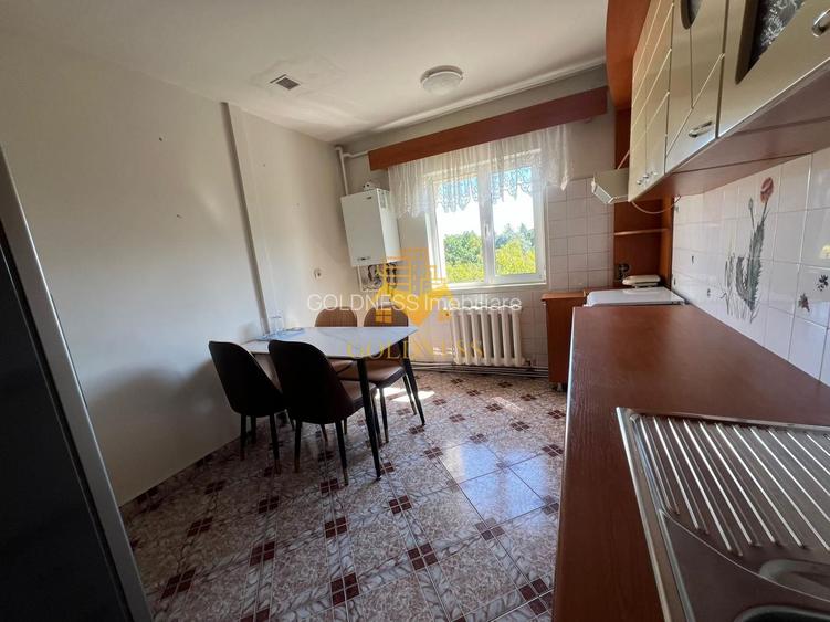 4 camere, mobilat clasic, garaj, boxa, Zorilor Zona UMF,Louis Pasteur - 12