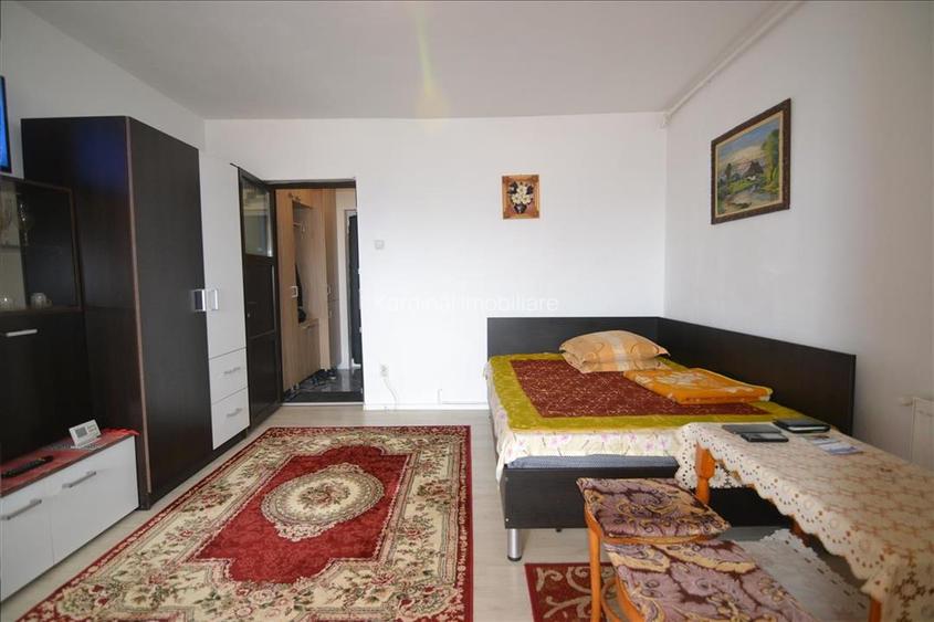 Vanzare garsoniera mobilata, Mihai Viteazu - Grivitei - 16