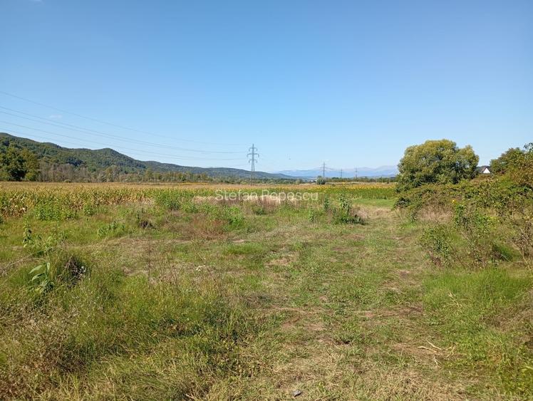 Teren 5 ha arabil Mihaesti – cadastru, intabulare, acte la zi - 3