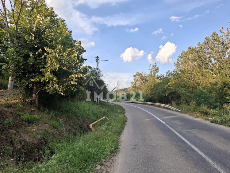 Teren spectaculos cu padure, livada si priveliste panoramica in Soimari PH - 16
