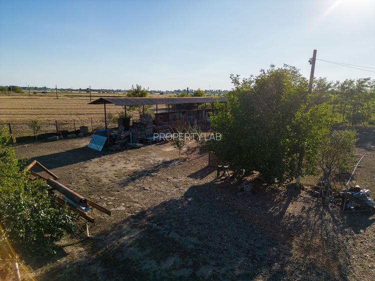 Hală industrială cu multiple destinații în Nădlac - 48