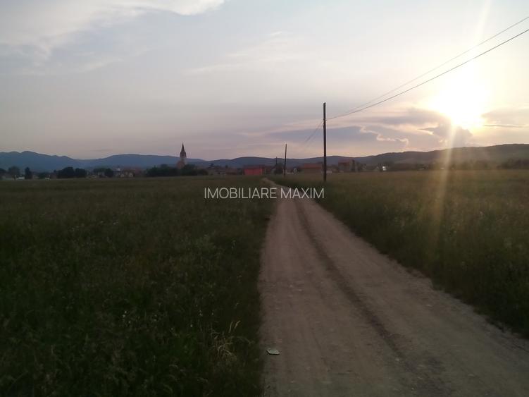 Imobiliare Maxim - teren in Cristian - 7