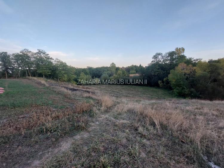 Casa batraneasca bine intretinuta in Bahna - 14