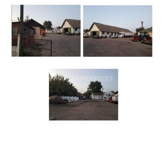 Proprietate multifunctionala cu hale si teren intravilan, Lehliu Gara - 5